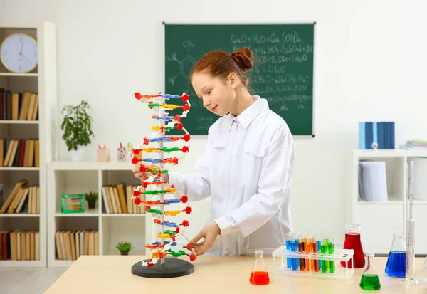 Красива школярка вивчає модель ДНК в хімічному класі — стокове фото