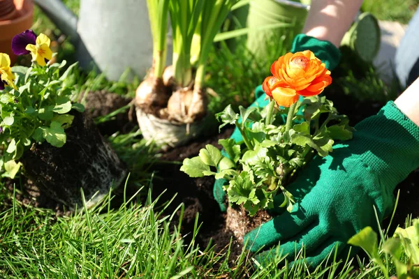 Frau pflanzt Blumen — Stockfoto