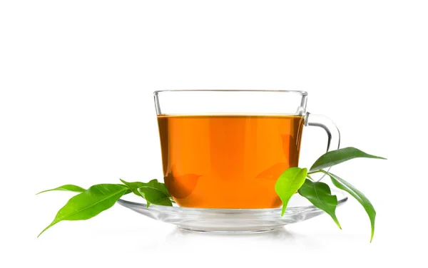 Чашка чая и зеленые листья — стоковое фото