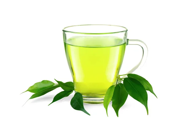 Kopje thee en groene bladeren — Stockfoto