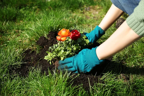 Vrouw die bloemen plant — Stockfoto