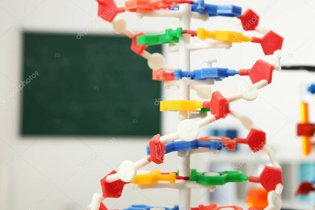 Plastic DNA model