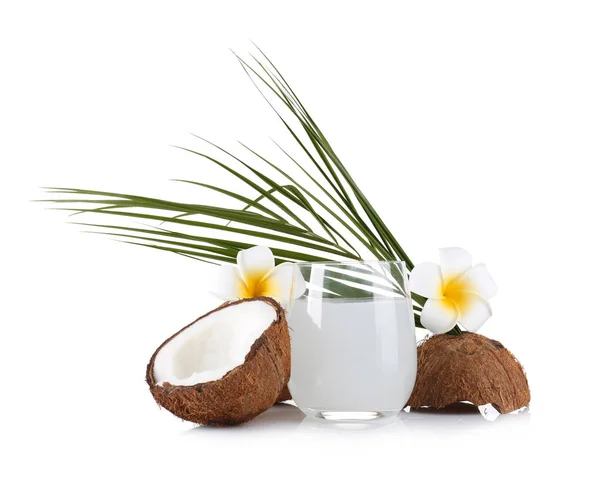 Прекрасна композиція з кокосовою водою — стокове фото
