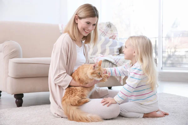 Mother and her daughter with cat — Stock Photo, Image
