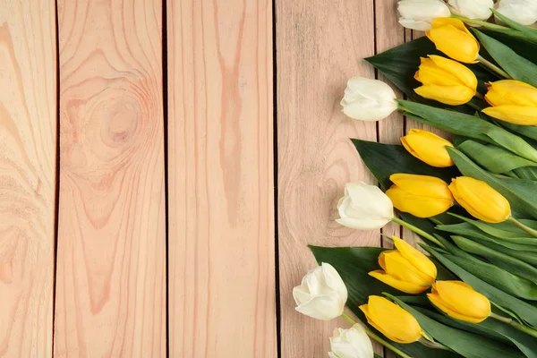 Белые и желтые тюльпаны — стоковое фото