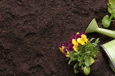 Çiçekler ve sulama olabilir kompozisyonu  