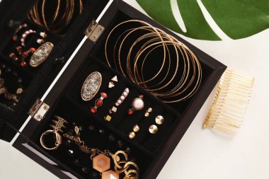 Bijuteri takı kutusu