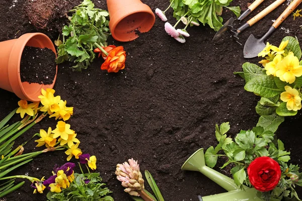 Composição com flores e ferramentas de jardinagem — Fotografia de Stock