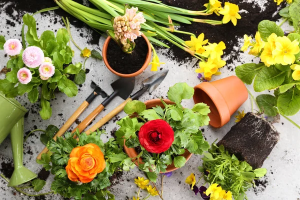 Komposition mit Blumen und Gartengeräten — Stockfoto