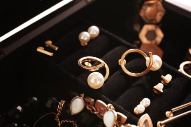 Bijuteri takı kutusu