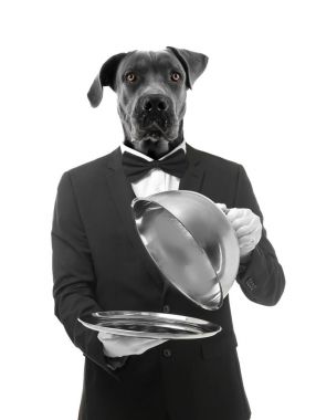 Garson köpek başkanı ile 