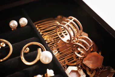 Bijuteri takı kutusu