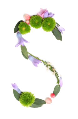 Çiçekler ve bitkiler yapılmış S harfi