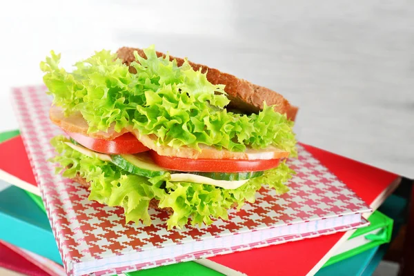Savoureux sandwich pour le déjeuner scolaire — Photo