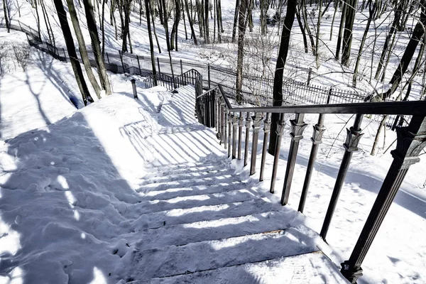 Stairs covered with snow in winter park