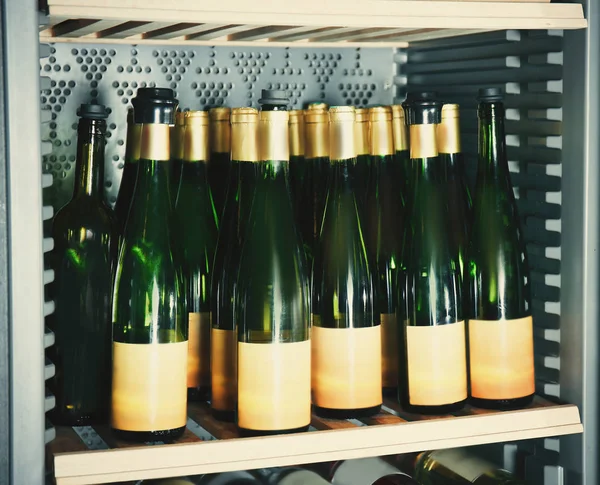 Botellas de vino en nevera —  Fotos de Stock