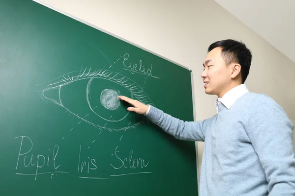 Красивый учитель Азии — стоковое фото