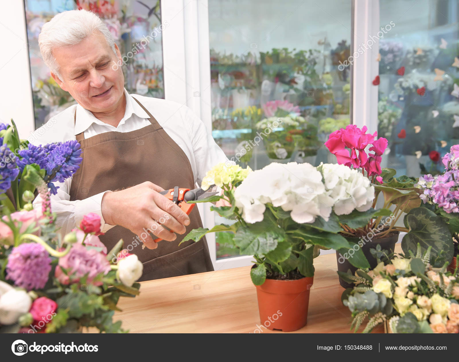 bloemen verzorgen bloemen verzorgen