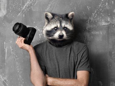 Racoon başkanı ile fotoğrafçı
