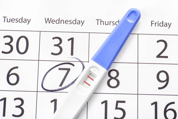 Pregnancy test and calendar