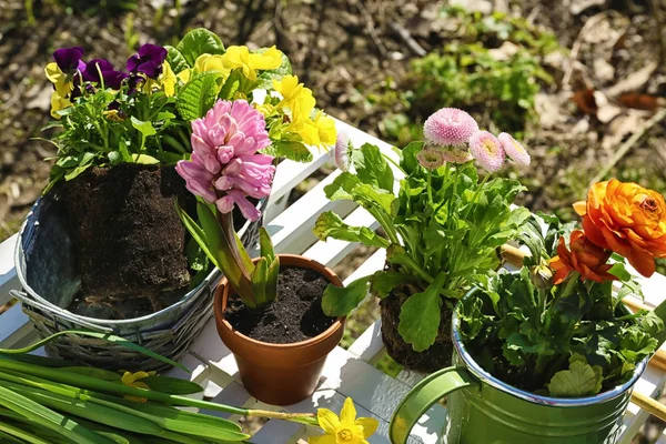 Hermosas plantas en la mesa de jardín —  Fotos de Stock