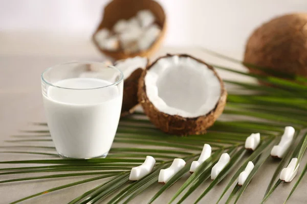 Taze hindistan cevizi sütü ile kompozisyon — Stok fotoğraf