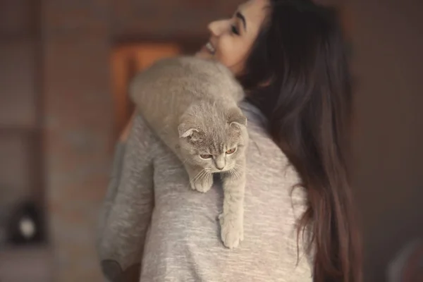 Bella giovane donna con gatto carino — Foto Stock
