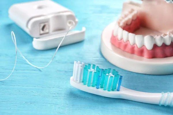 Tandbørste, tandtråd og plastik kæbe - Stock-foto