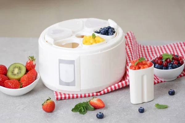 Yogurt maker e ingredienti — Foto Stock