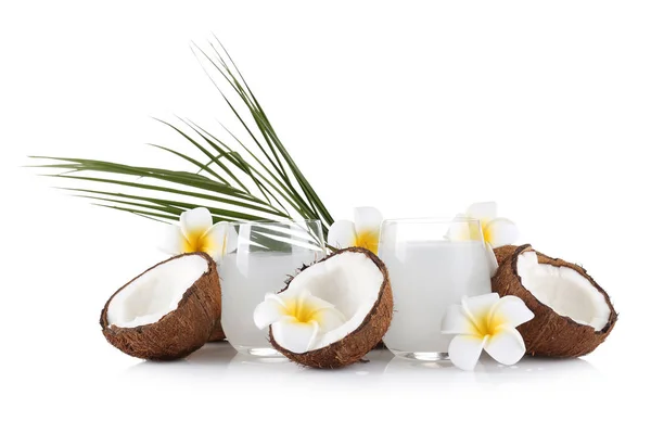 Composición con agua de coco — Foto de Stock