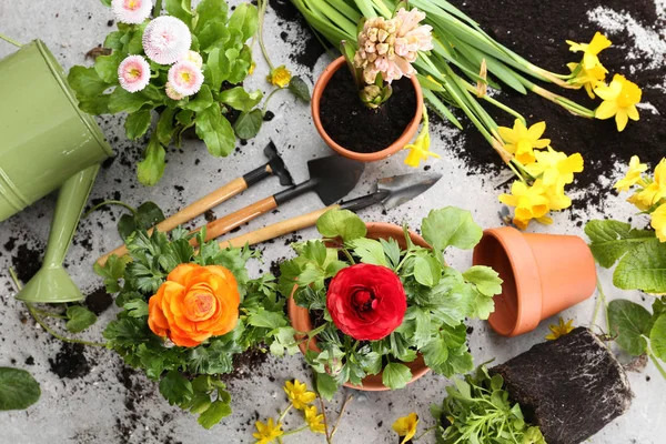 Композиция с цветами и садовыми инструментами — стоковое фото