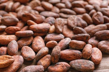 Aromatik kakao çekirdekleri 