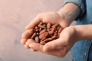 Erkek holding aromatik kakao çekirdekleri eller 