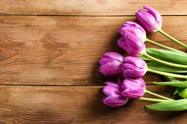 Lindas tulipas lilás — Fotografia de Stock