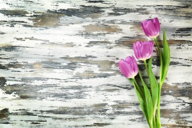 Güzel leylak laleler