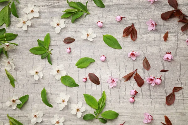 木花が咲くと葉 — ストック写真