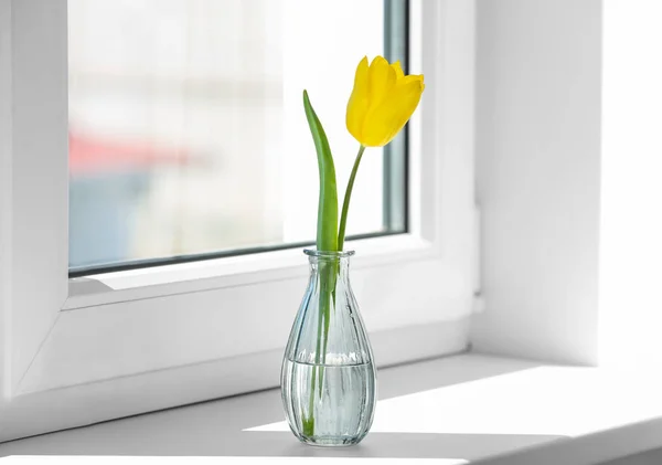 Vase with beautiful tulip — Stock Photo, Image