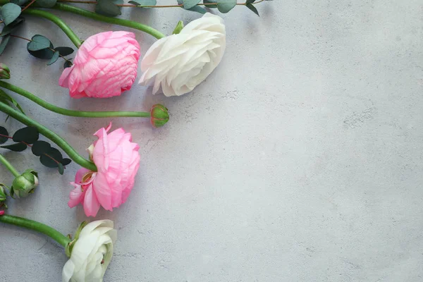 아름 다운 신선한 미나리 아재 비 꽃 — 스톡 사진