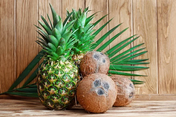 Frische Ananas und Kokosnüsse mit Palmblatt — Stockfoto