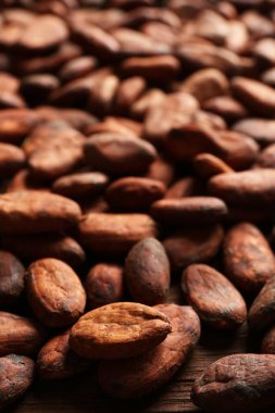 Aromatik kakao çekirdekleri 