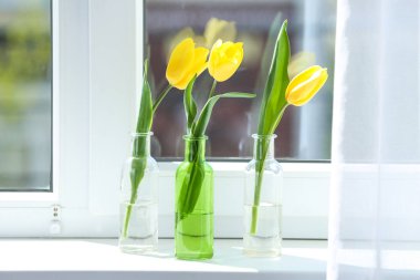 vazo ile güzel Lale