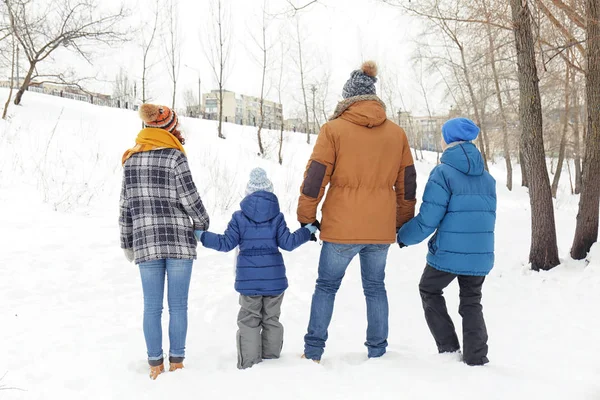 家庭在冬季公园 — 图库照片