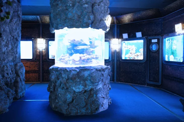 Wnętrze piękne oceanarium — Zdjęcie stockowe