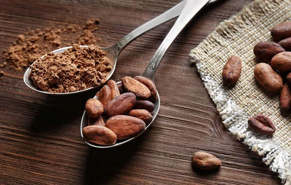 Granos de cacao aromáticos — Foto de Stock