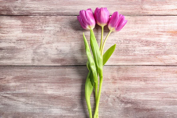 Hermosos tulipanes lila —  Fotos de Stock