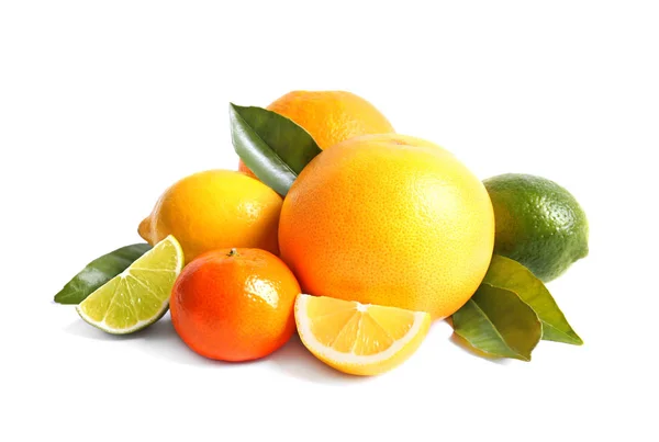 Different citrus fruits — Stock Photo, Image