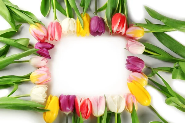 Rahmen aus schönen Tulpen — Stockfoto