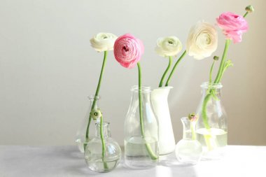 Güzel taze tipik çiçekler