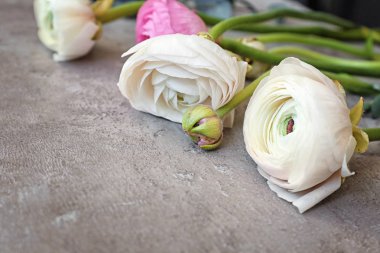 Güzel taze tipik çiçekler