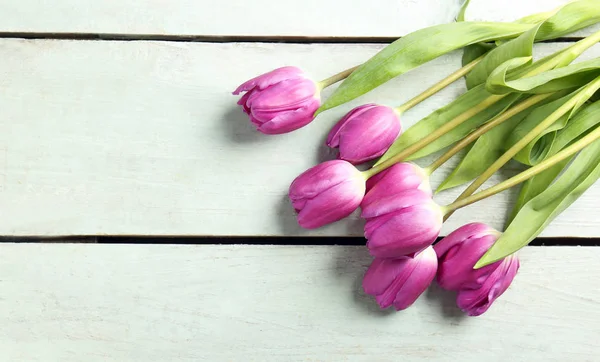 Schöne fliederfarbene Tulpen — Stockfoto